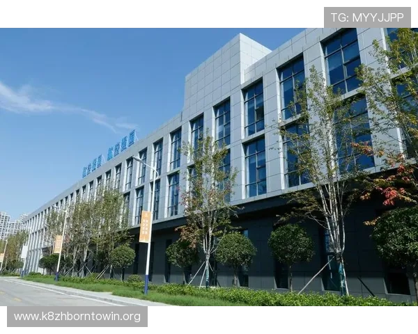 凯发集团网页版登录安全保障措施介绍保障玩家账户信息安全的实用技巧